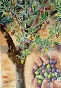 Aydinli Ressamdan Muglada Zeytin Sergisi 602977 4A9Eed054Dfeda9F9768Dda9C9617E95