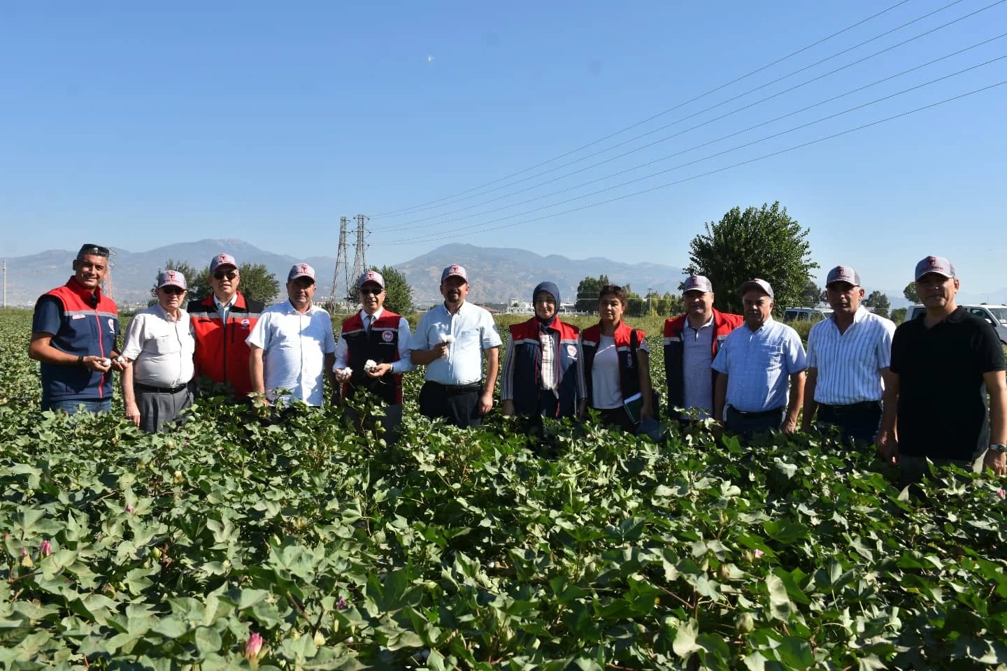 Beyaz Altin Aydinin Gozdesi Oldu 597947 C9D7430D9Fd2Efc379Fb586D8408C564