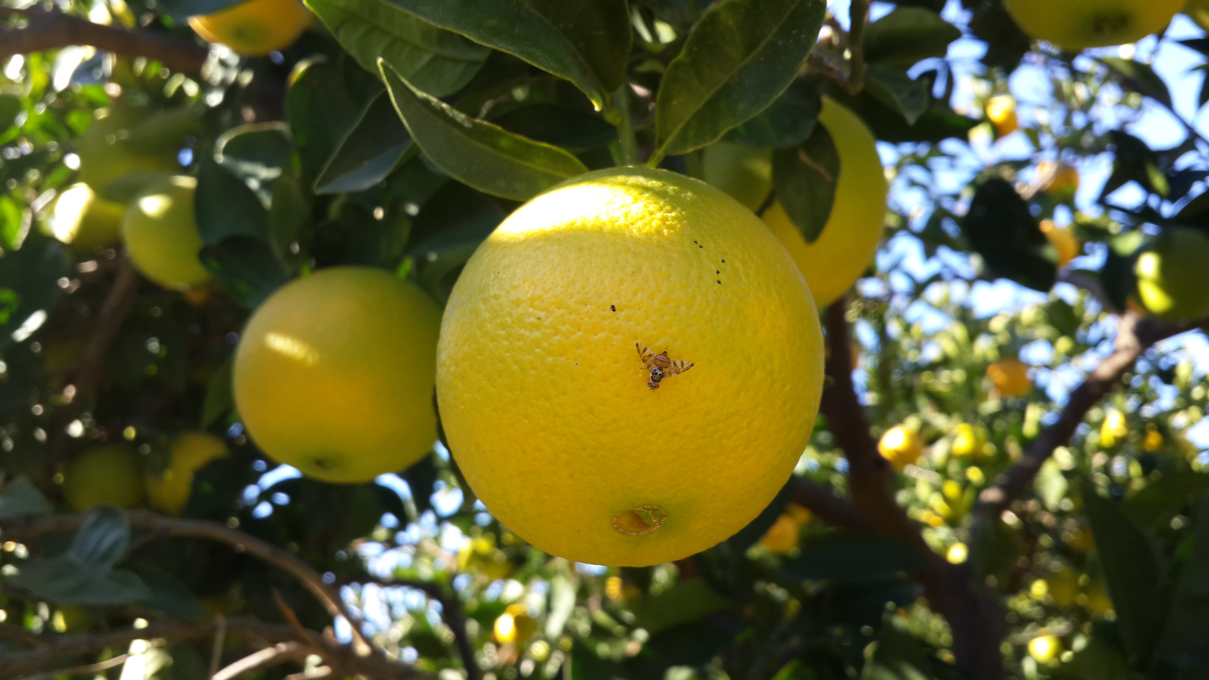 Ciftcinin Belasi Oldu Mucadele Basladi 598791 95F3381620Fc66Cbe37De1E1A56Bff05