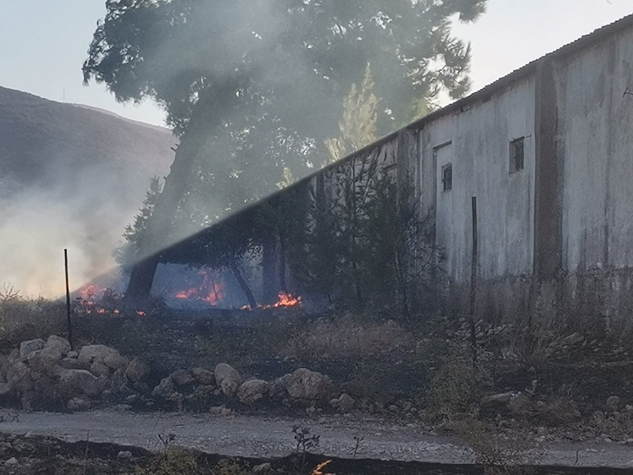 Didime Korkutan Yangin 600434 35991Af618160D31Aef18865Ede69143