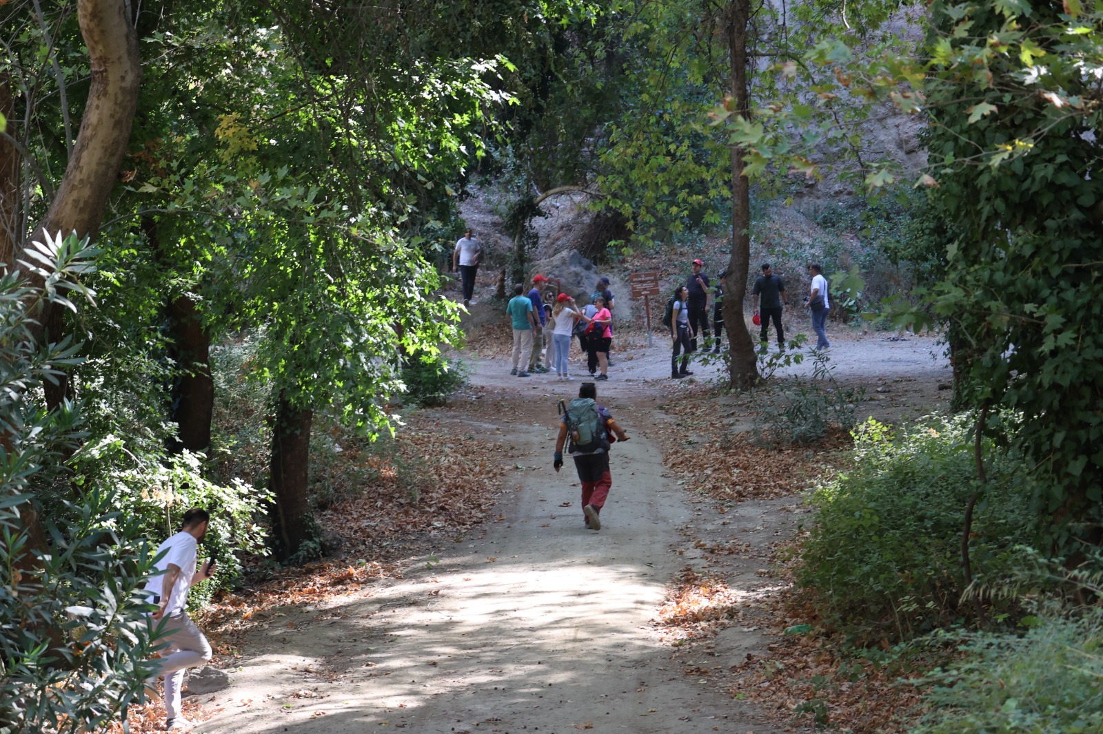 Efeler 602644 F5D16A1605Ac499A0558748C72E017D4