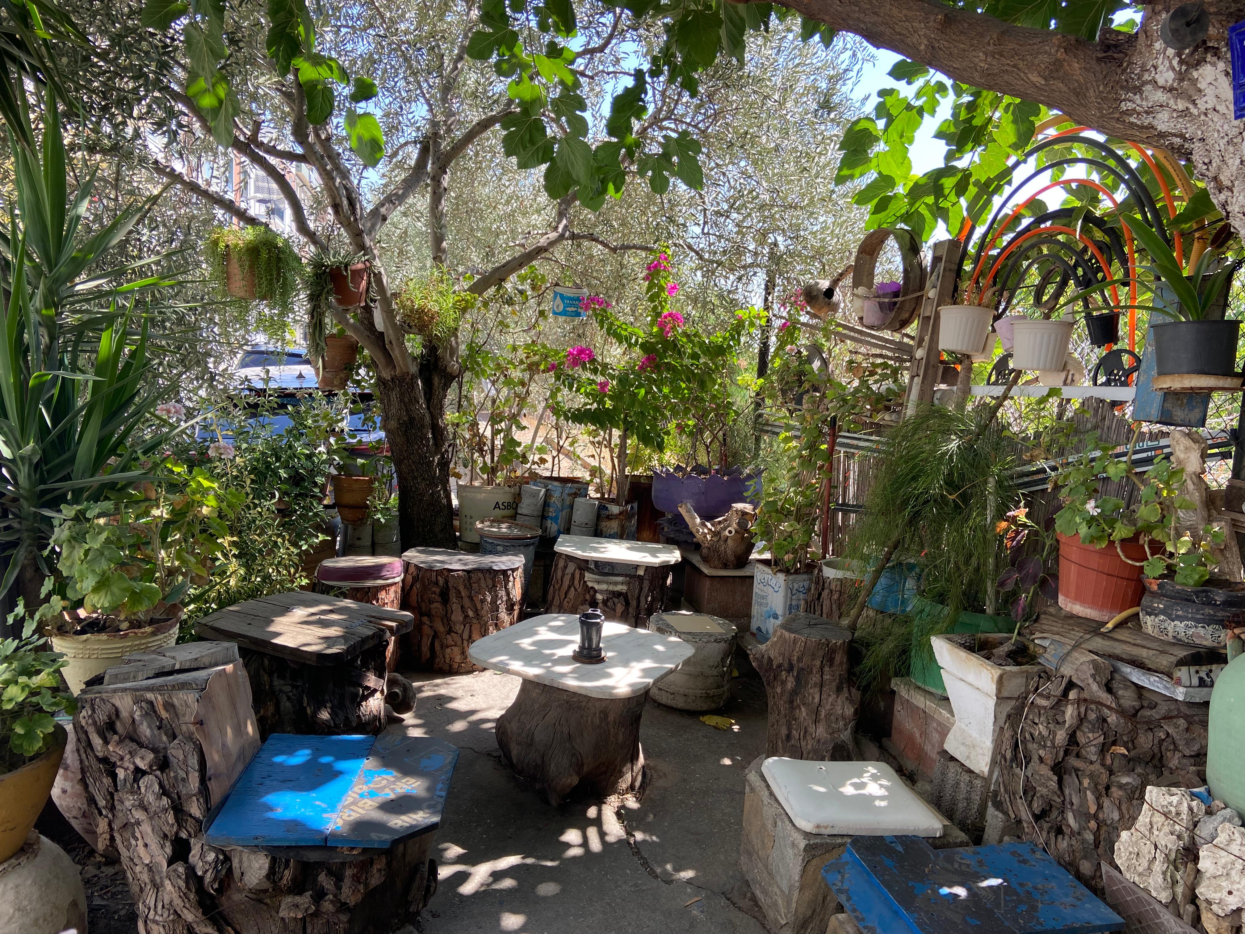 Efelerde Yasam Bahcesi Sevket Urenin El Emegi Bulusma Noktasi 599960 Ec94Da775D776784D5D48D3Fd029Be1A