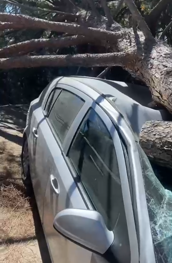 Ekran Görüntüsü 2025 09 21 011314