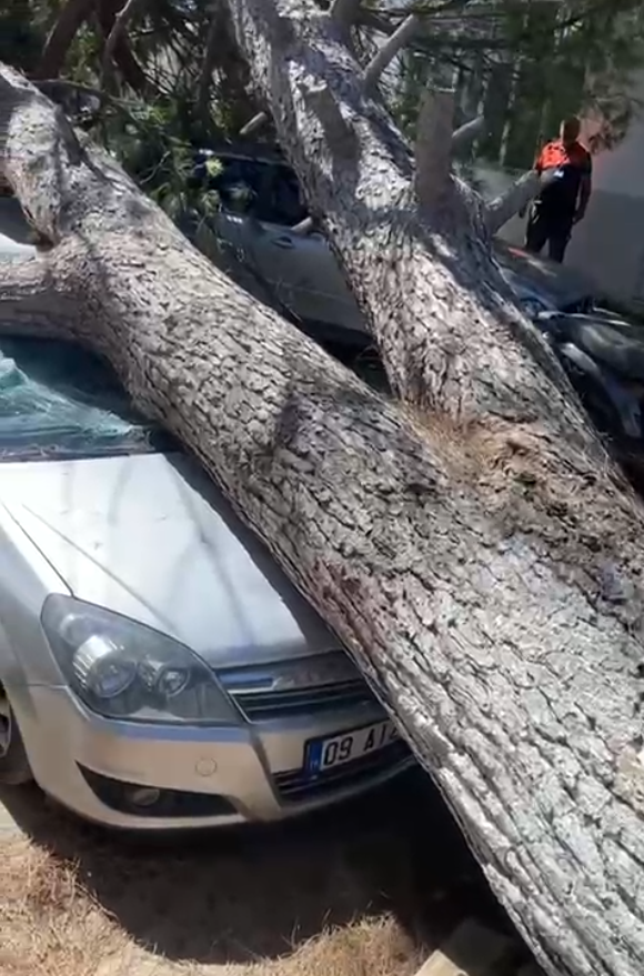 Ekran Görüntüsü 2025 09 21 011335