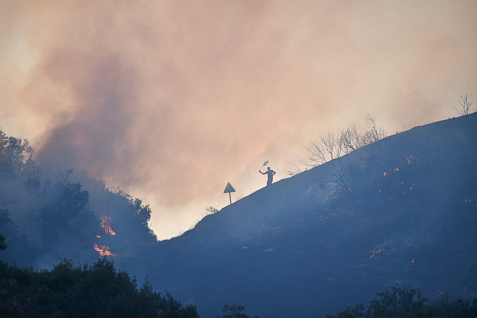 I M G 20250901 W A0106