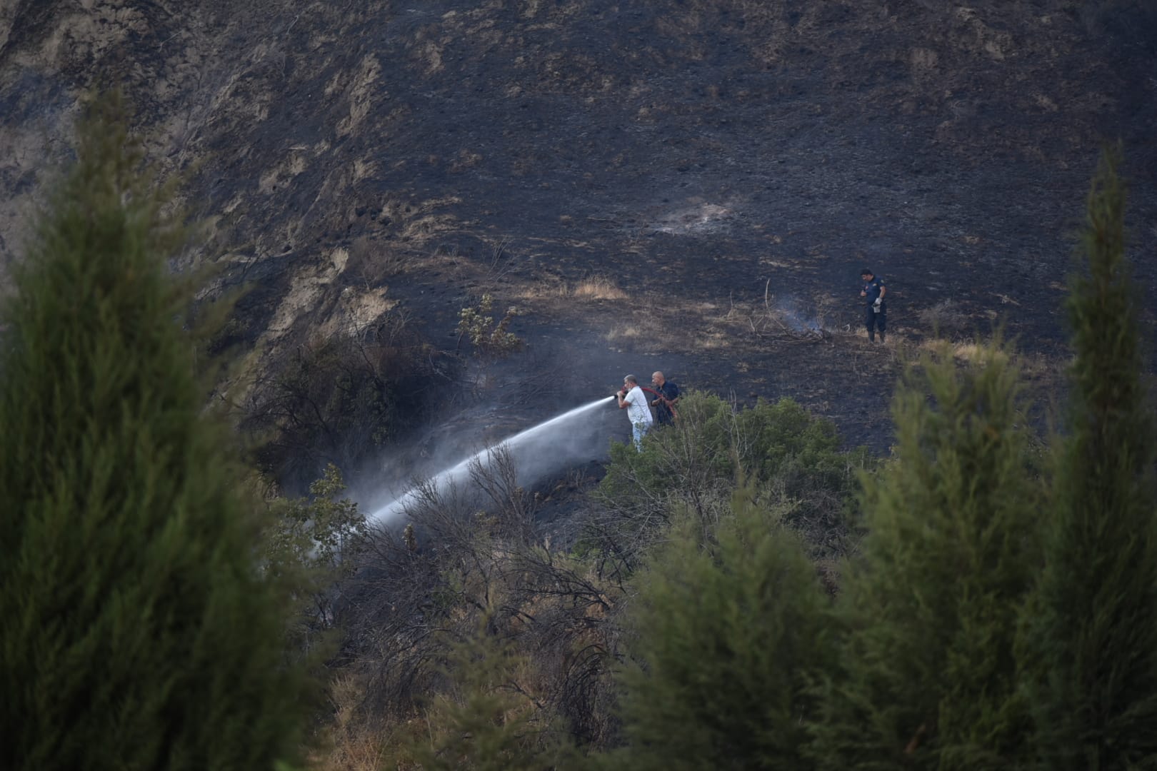 I M G 20250901 W A0109-1