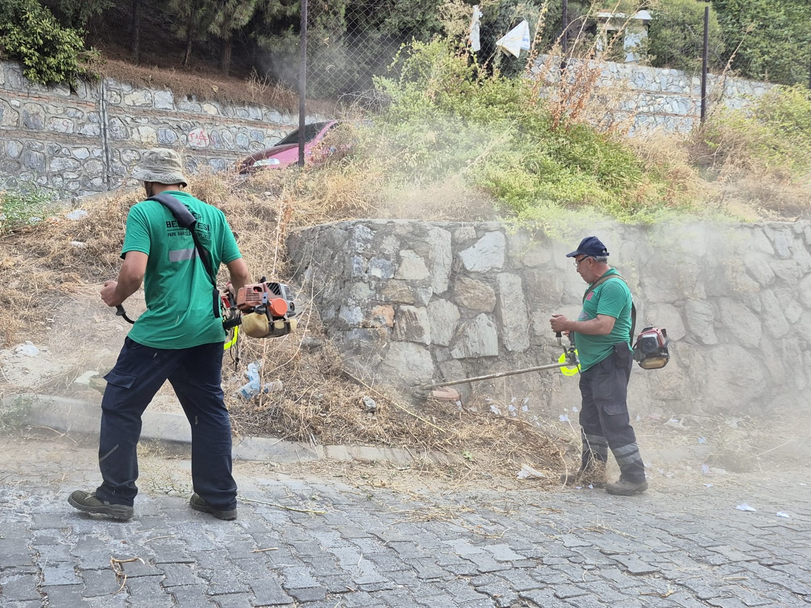 I M G 20250905 W A0010