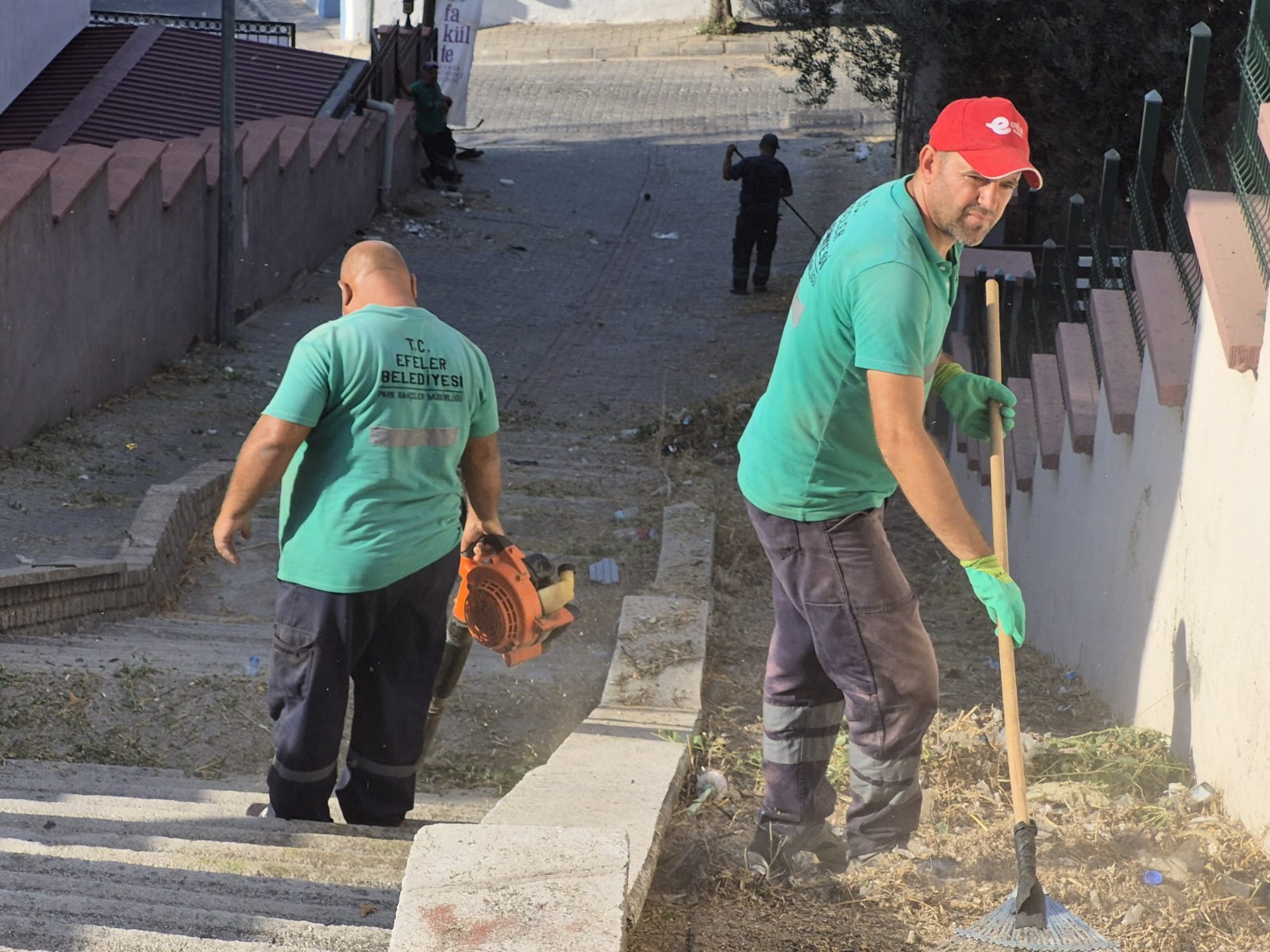 I M G 20250905 W A0014