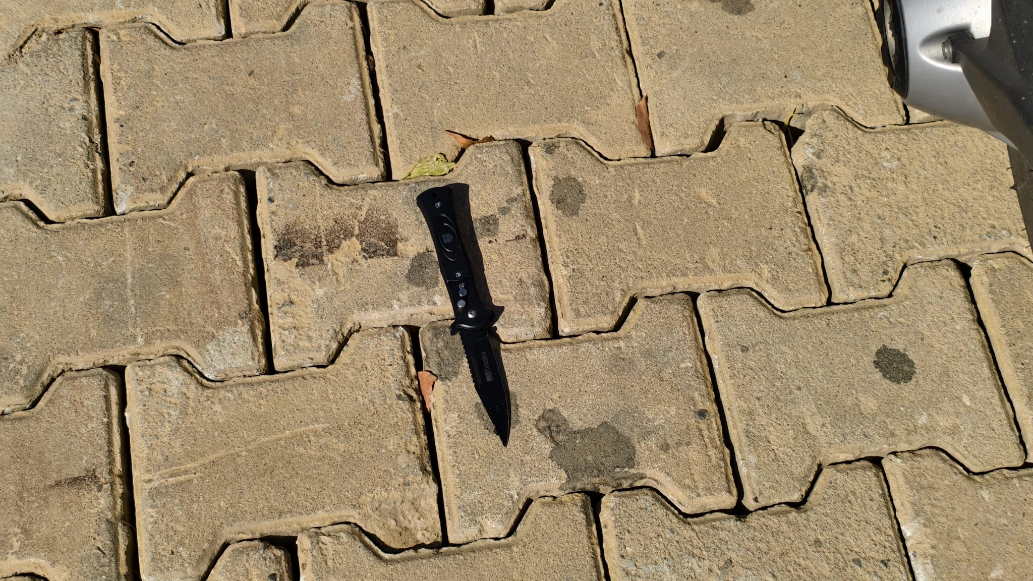 I M G 20250910 W A0058