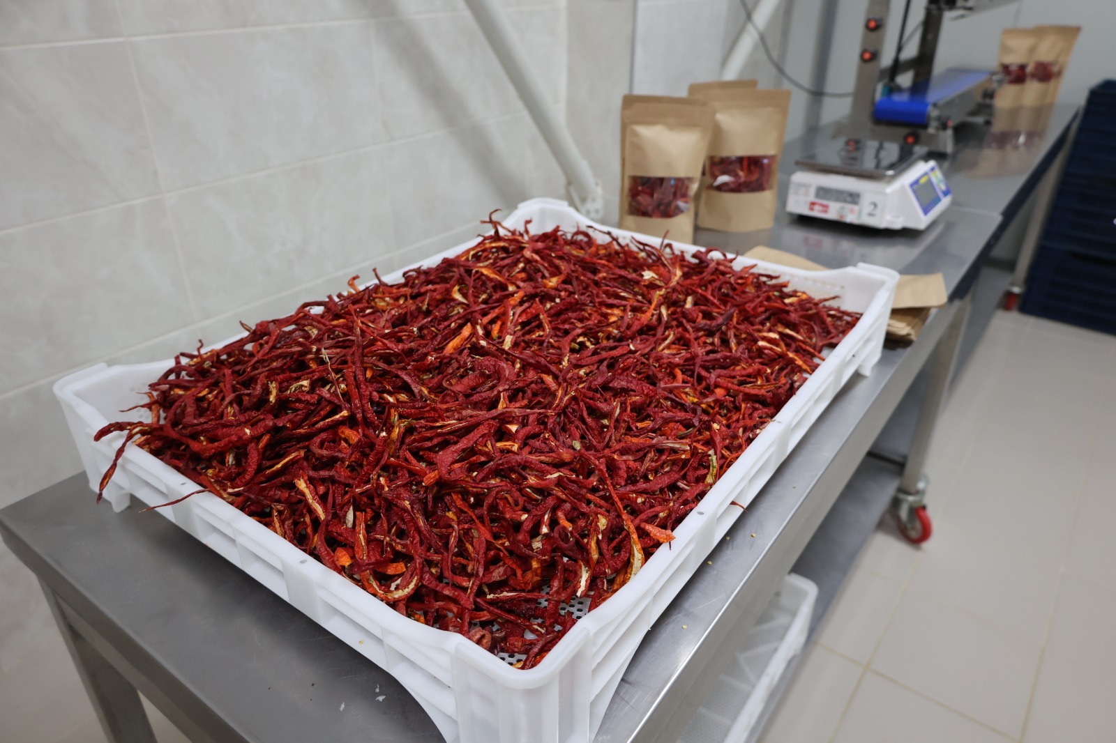 I M G 20250916 W A0016