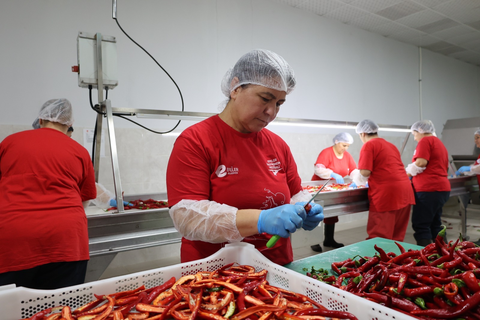 I M G 20250916 W A0018