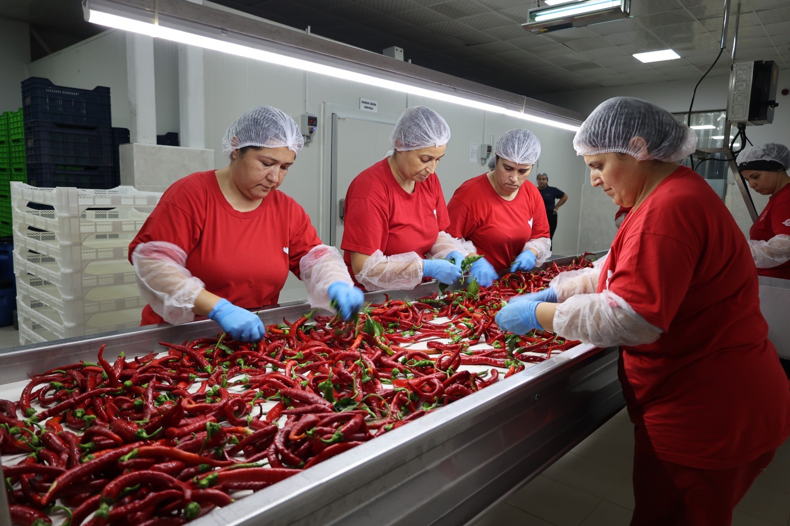 I M G 20250916 W A0019