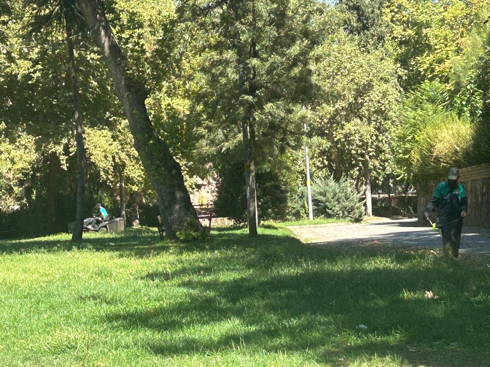 I M G 20250919 W A0027