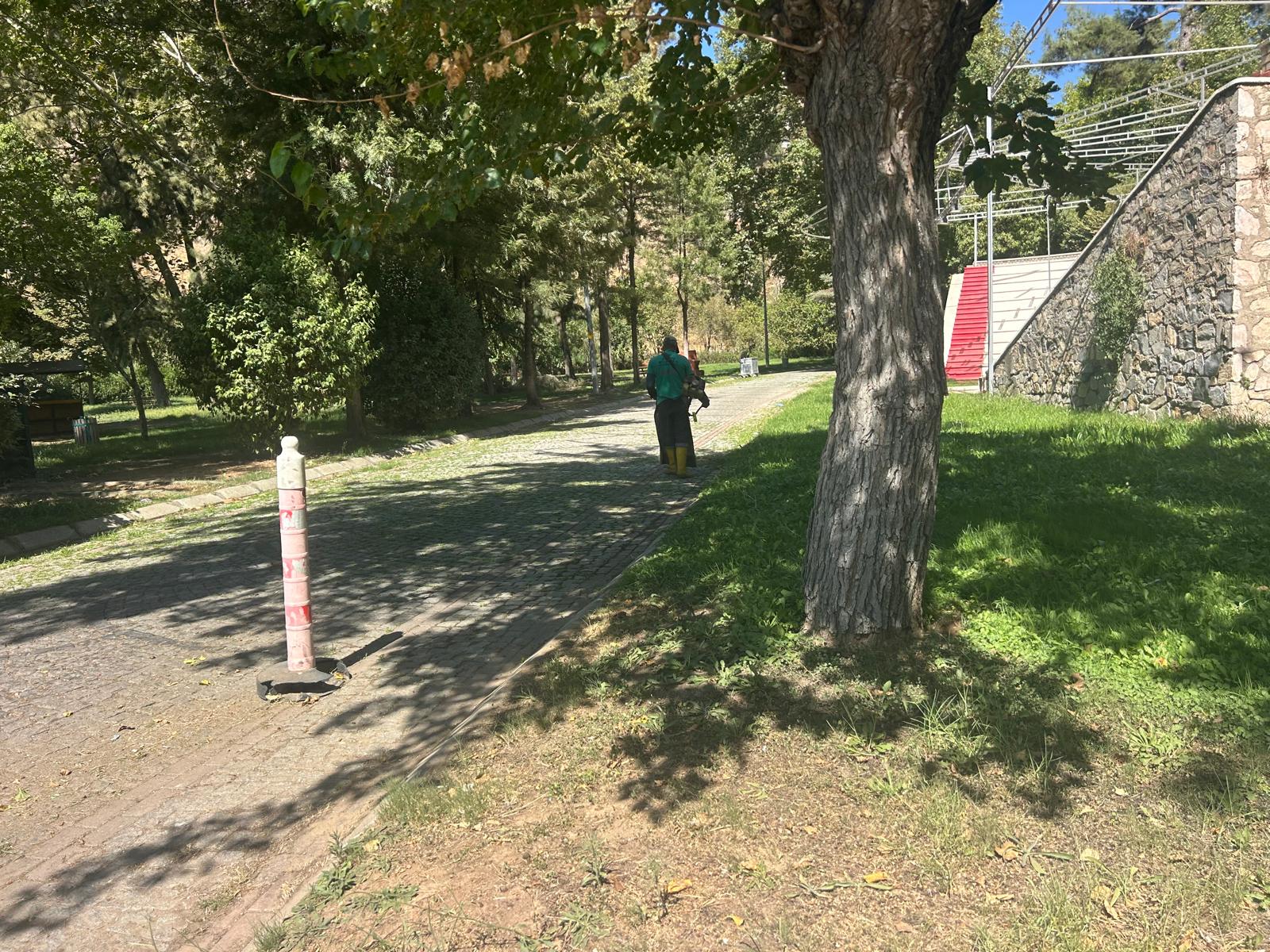 I M G 20250919 W A0029