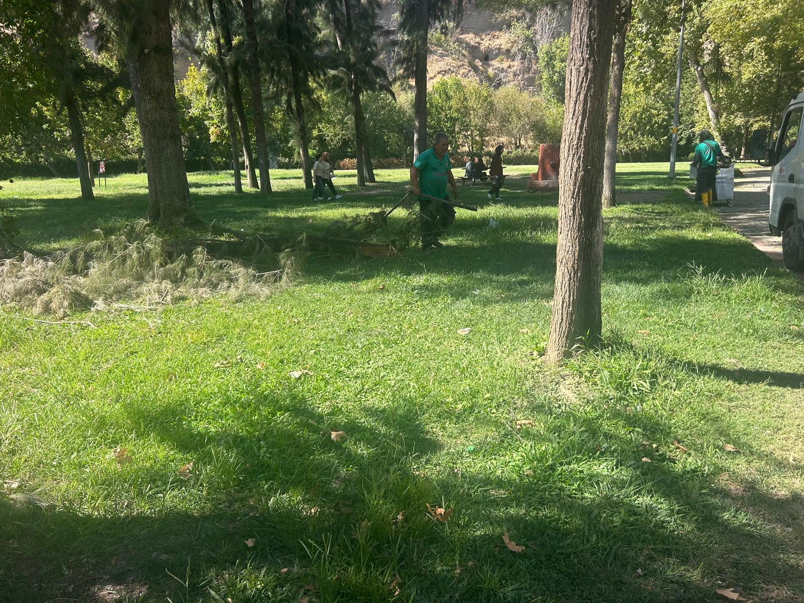 I M G 20250919 W A0031