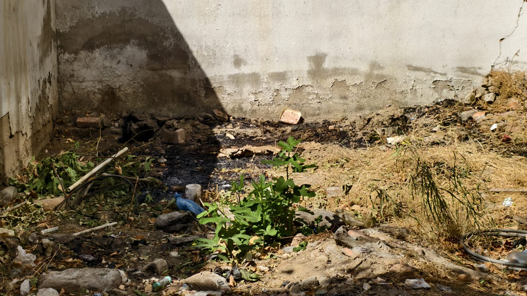 I M G 20250924 W A0062