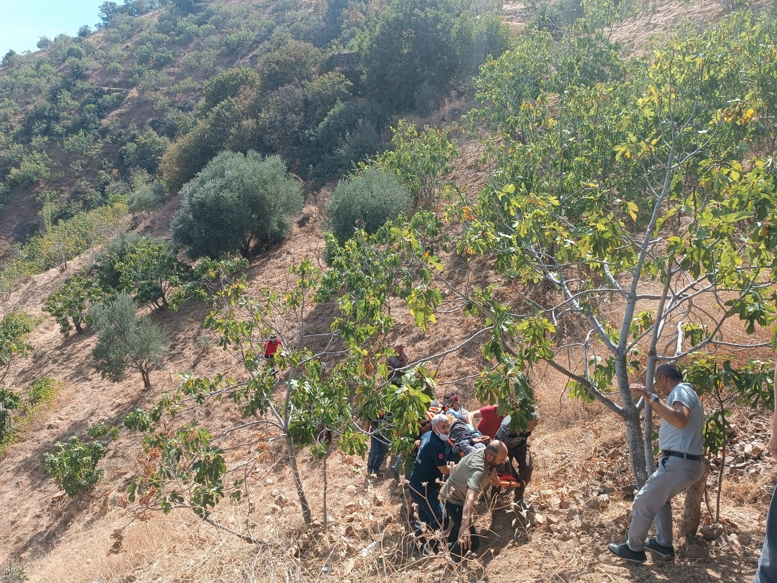 I M G 20250926 W A0044