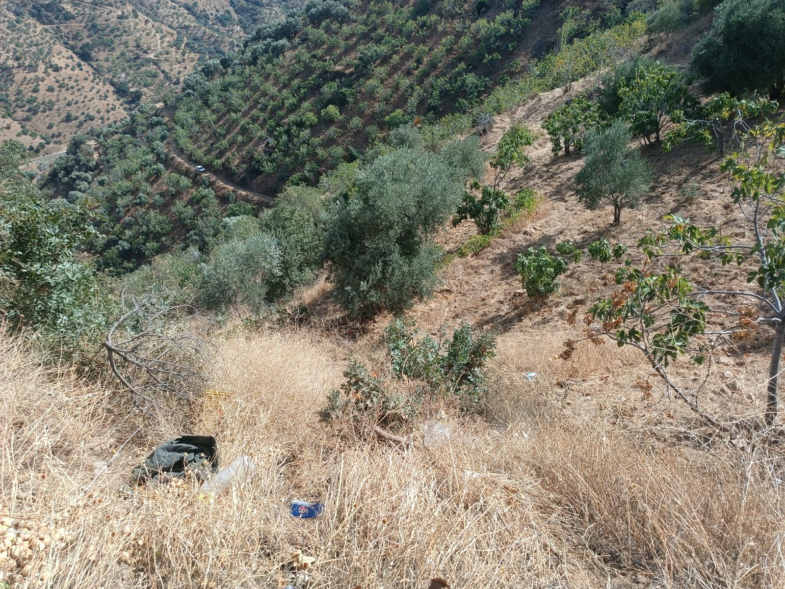 I M G 20250926 W A0045