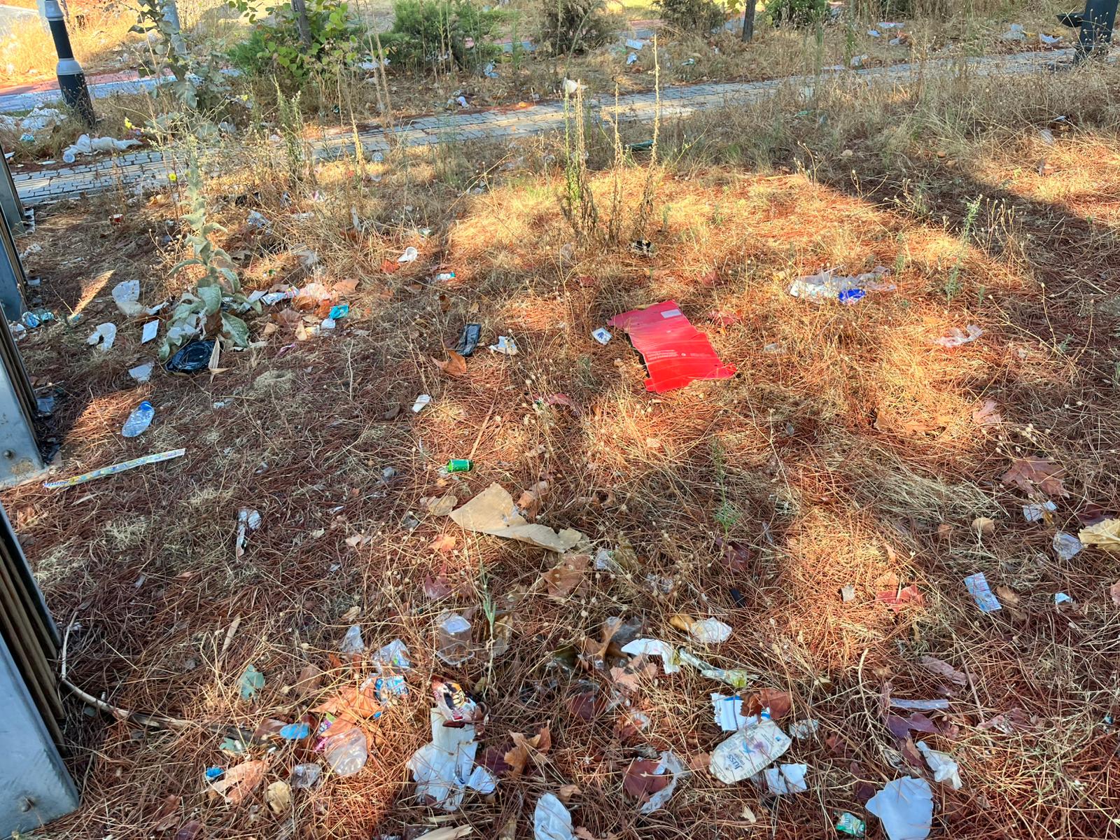 I M G 20250930 W A0027