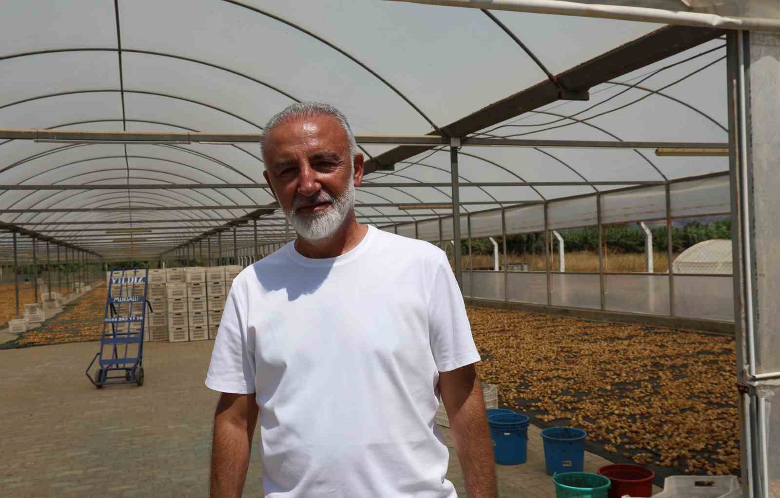 Incir Ureticisi Tek Cati Altinda Toplanmak Icin Calisma Baslatti 0B6031Fc6C62Ced2Cadc2F3691Cbf4F4