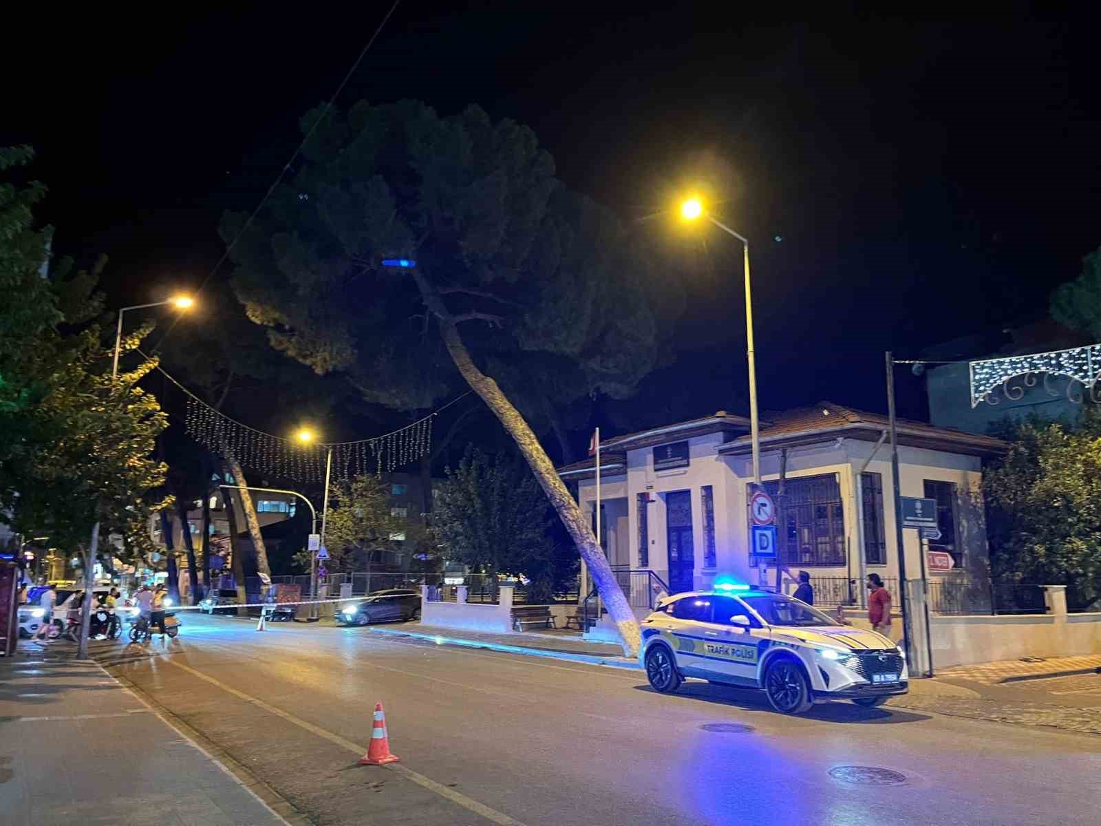 Incirliovada Cam Agaci Kuvvetli Ruzgara Dayanamadi Aee00F01D09D9A3E7Fde7F632B5F953D