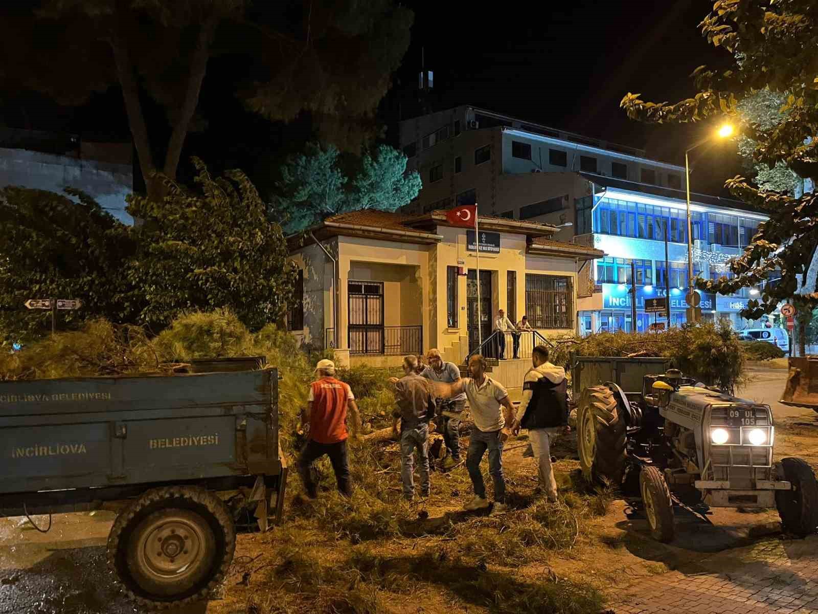 Incirliovada Cam Agaci Kuvvetli Ruzgara Dayanamadi Eae9359C91Ee24963Ffa93535Cb5E5A9