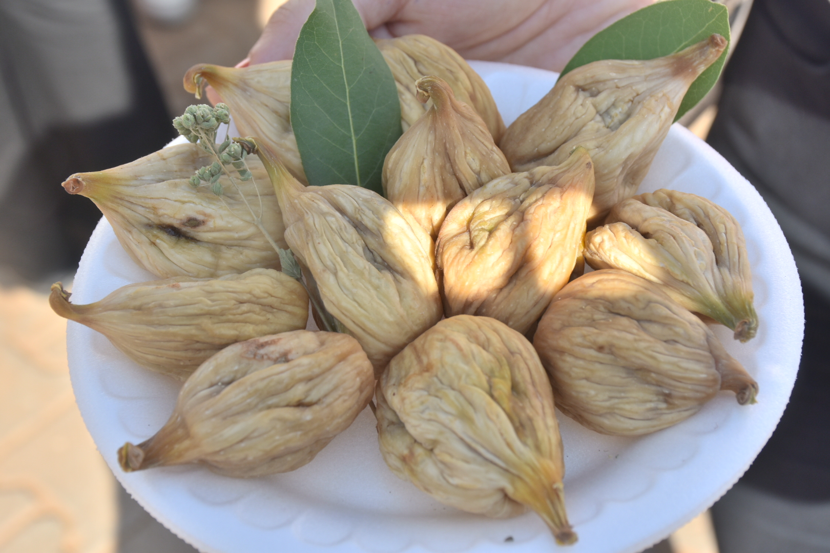 Karacasu Yaykinda Incirler Yaristi 599142 52Af226E7Bf193D6D48A42716549F9F1