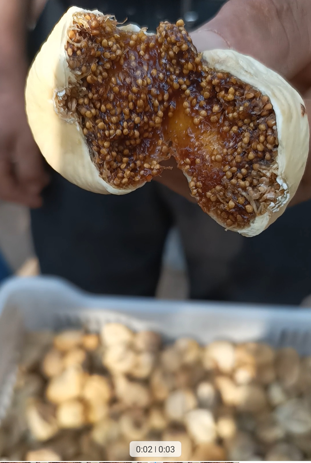 Karacasuda Genc Uretici Ciftten Incir 600389 33D541D91B545Cdea30949F41647B76D