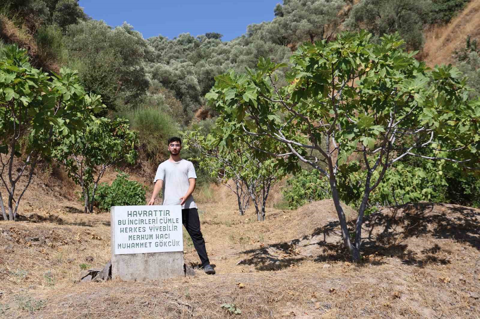 Mezar Tasi Degil Herkes Yesin Uyarisi B5A8C49Da832Ea036Dbc02538241F264