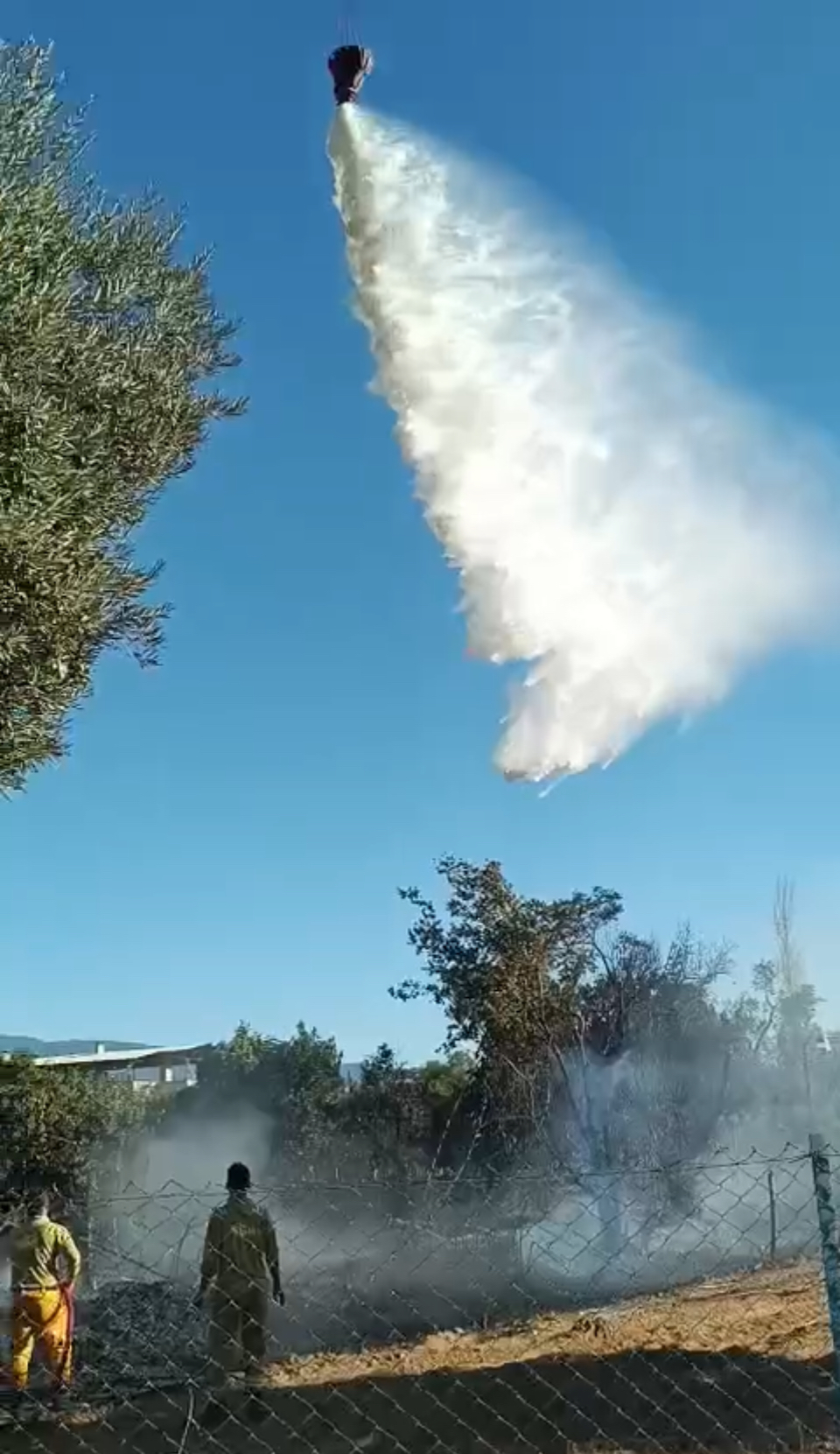 Nazillide Zeytinlik Alanda Yangin 600835 30Ef398923B22E3457Abfd97C5F04C04