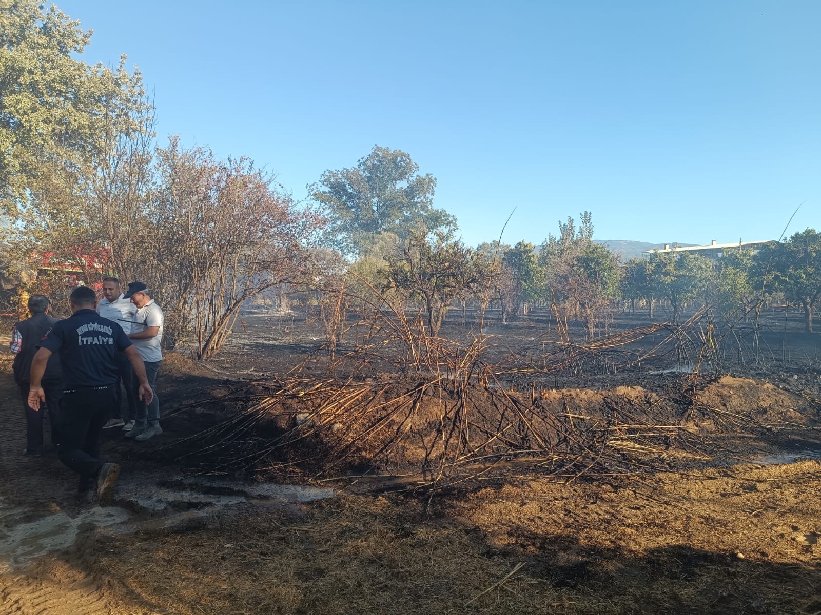 Nazillide Zeytinlik Alanda Yangin 600835 Cb24Fd6Dbabd11F1Cb396Dc36D260Da8