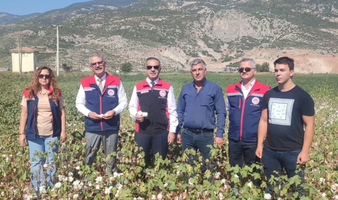 Soke Ovasinda Pamuk Incelemesi 601355 0Bc6E64632Ace223Ab0102996F1Bc99F