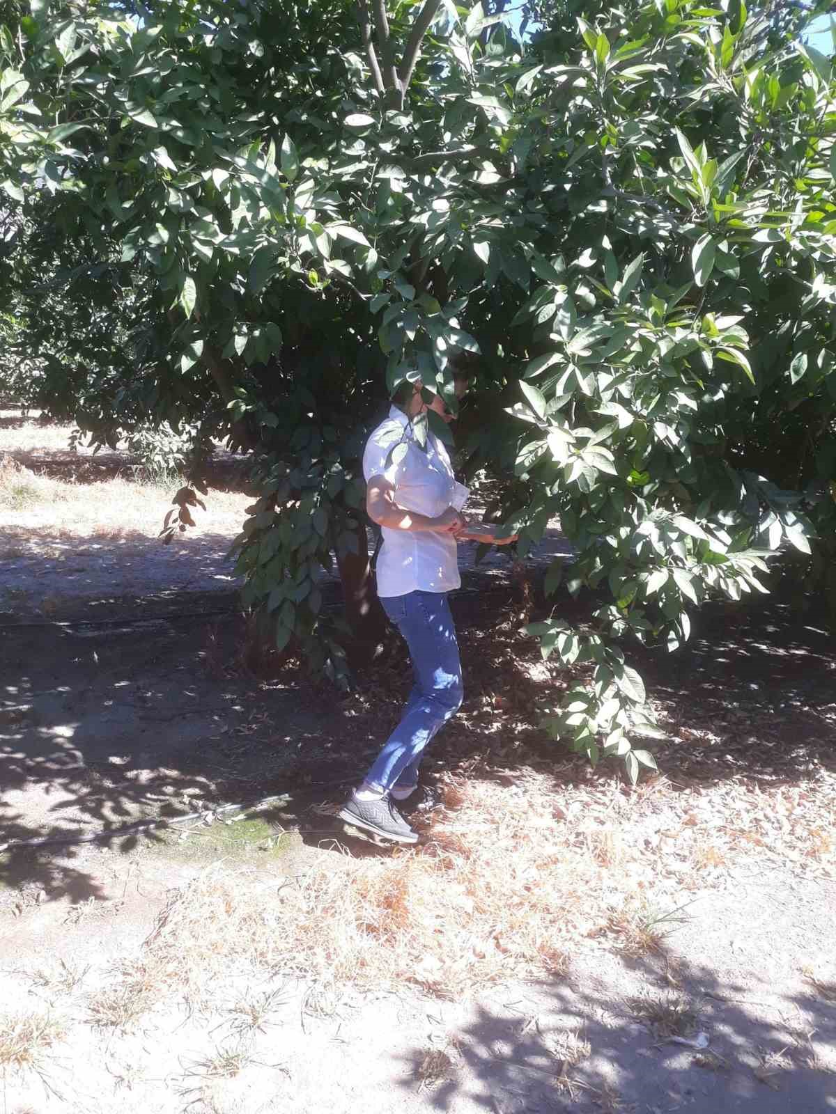 Sokede Zararli Populasyonunda Artis Gozlemlendi 00779Baa627140E9C564Fb92C044Ef52