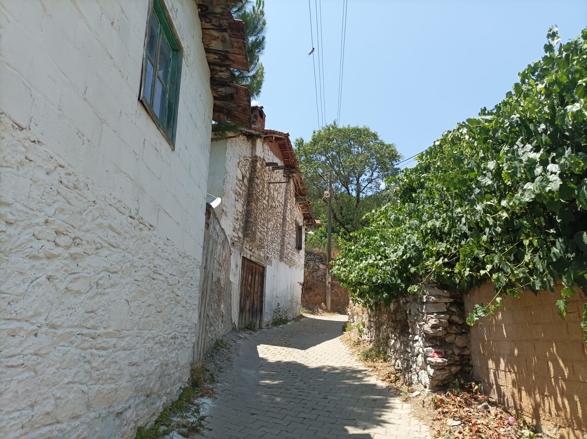 Whatsapp Görsel 2025 09 07 Saat 14.10.13 8E115F9E