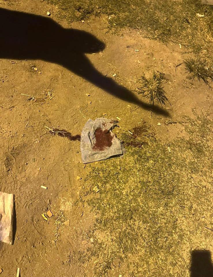 Whatsapp Image 2025 09 17 At 21.09.08