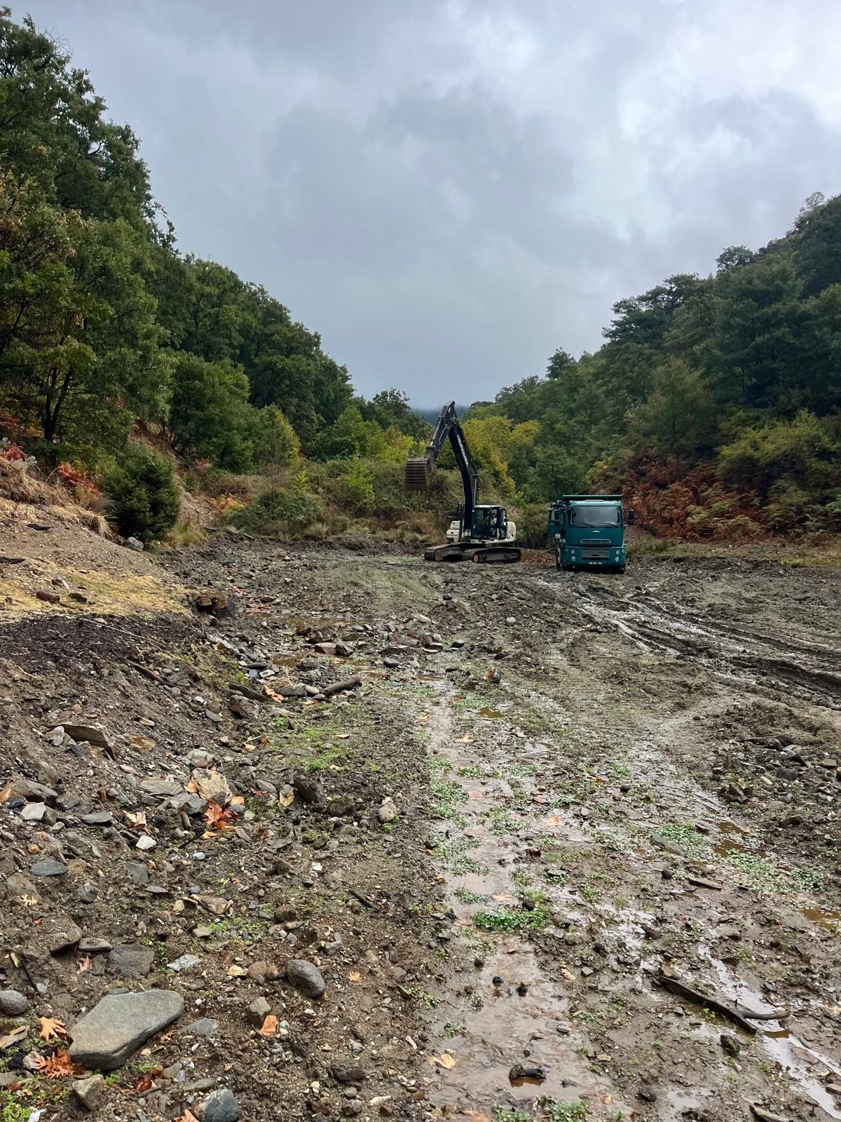 Ak Partili Vekiller Kuyucak Icin Sozunu Tuttu Pamucak Goleti Temizleniyor 604367 6127355F50E49A4Ef658Ecfb1910711A