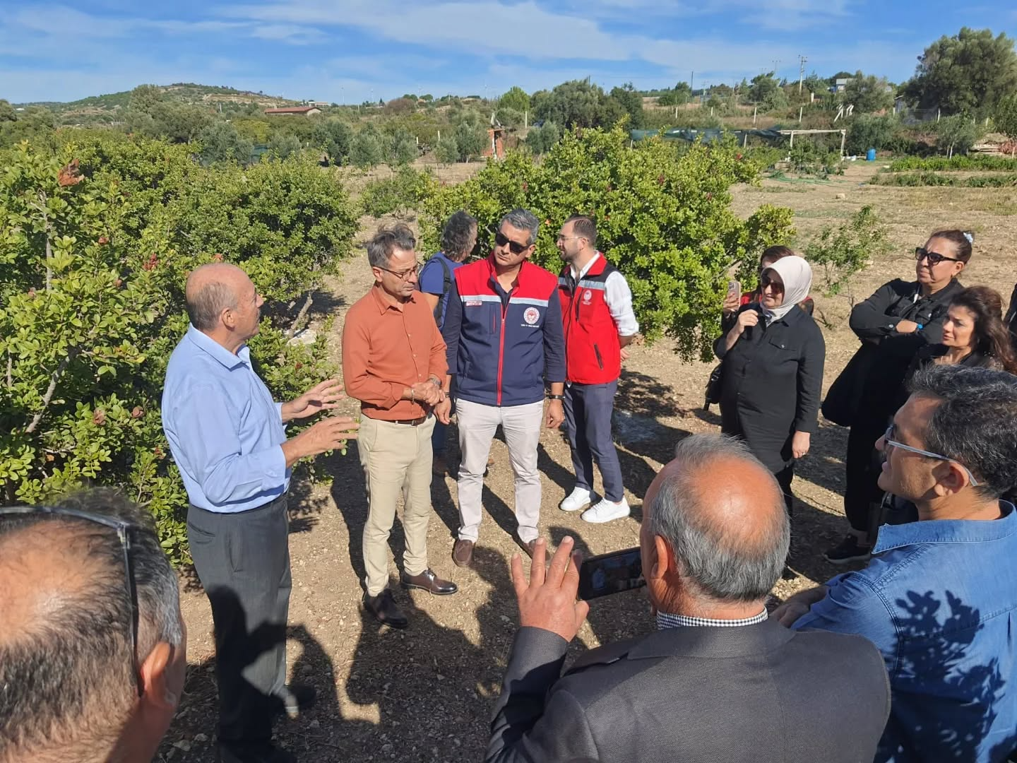 Aydin Sakiz Agaciyla Yesillenece (3)