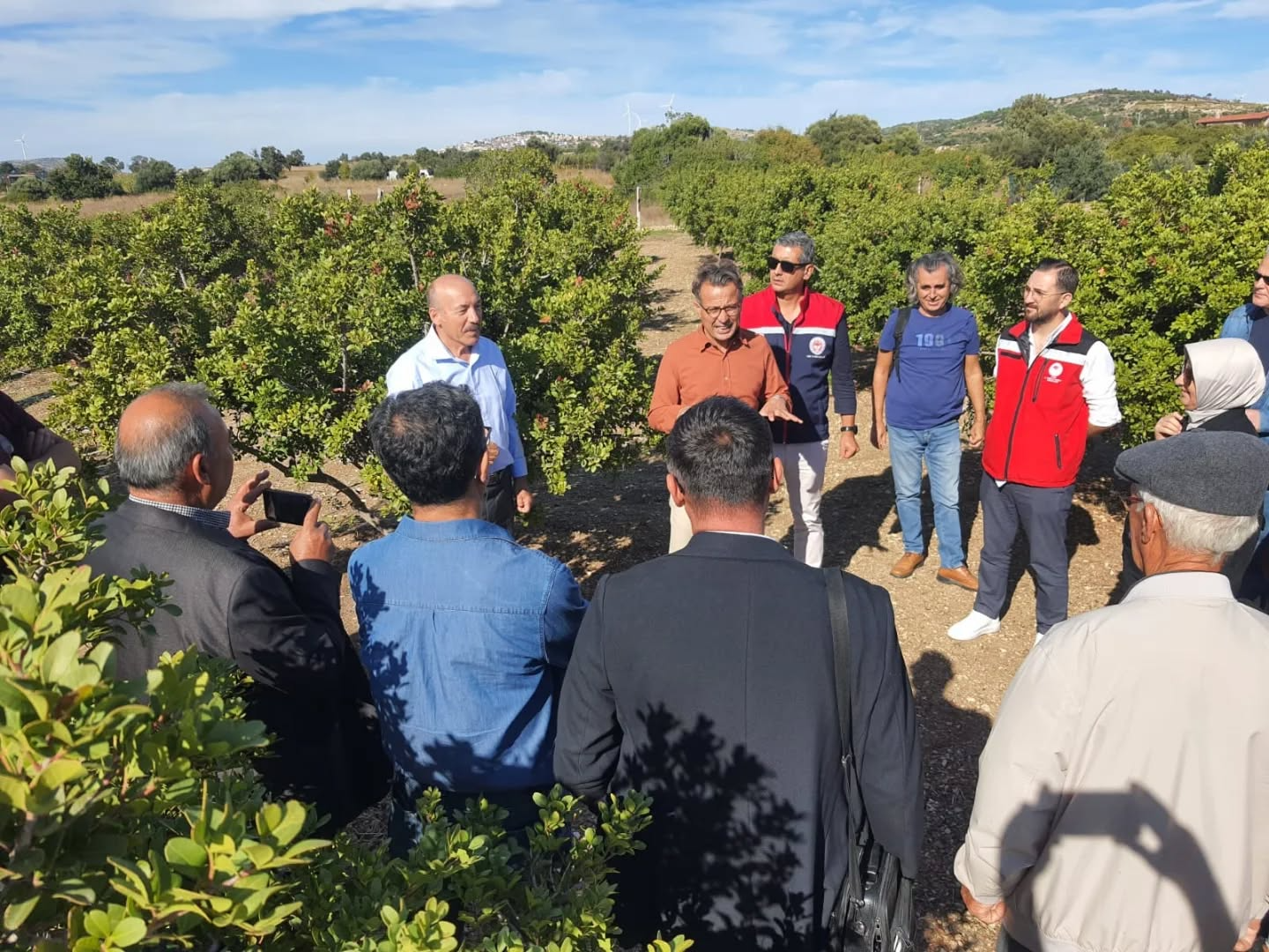 Aydin Sakiz Agaciyla Yesillenece (4)