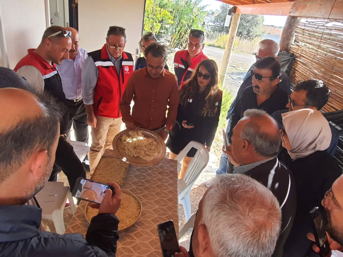 Aydin Sakiz Agaciyla Yesillenece