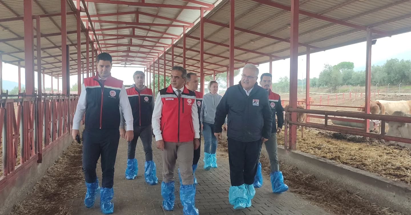 Aydin Turkiyenin Zirvesinde 608095 83A73D61070861F711B26679F97517E8