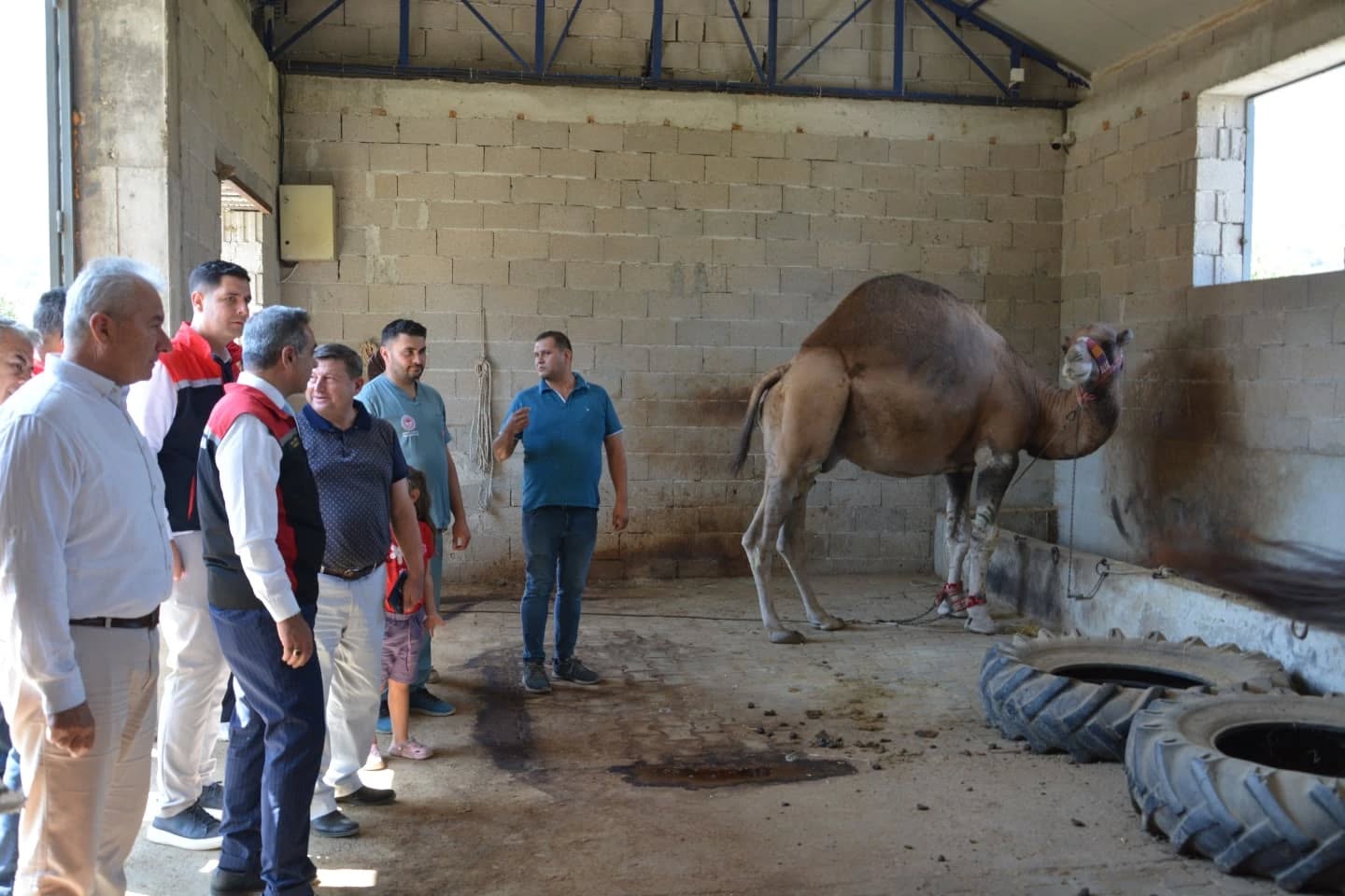 Aydin Turkiyenin Zirvesinde 608095 B23426668370C33555C5Cd46F00F6F2E