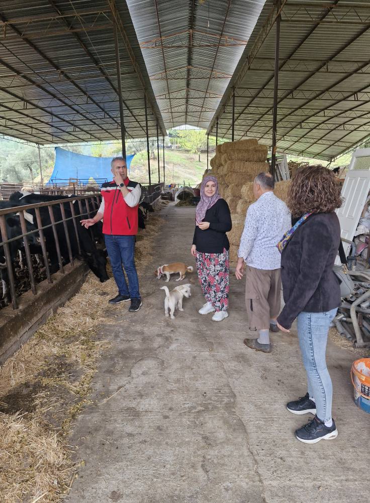 Aydinda Kadin Ciftciden Girisimcilik Dersi 609282 12A706F8Ace4Ca4E664308Ae43699B4B