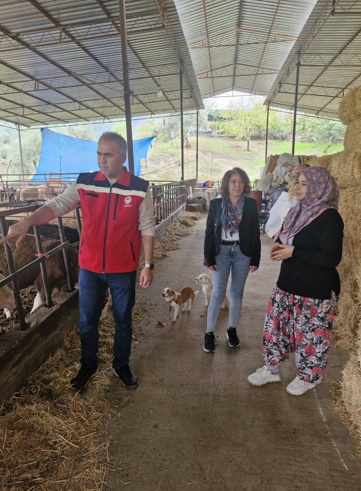 Aydinda Kadin Ciftciden Girisimcilik Dersi 609282 7Ccc8De8Cc4E0Cc8De8Ca3Fb1Cede19E