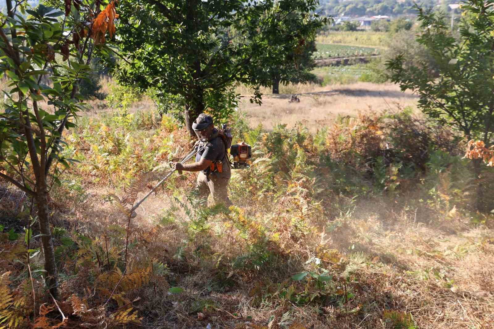 Aydinda Kestane Hasat Sezonu Icin Hazirliklar Basladi 7B5885726698Bc53A9396Eec30Db1149