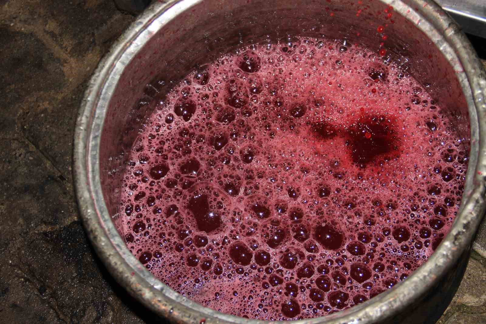 Aydinda Narlar Geleneksel Yontemle Eksiye Donusuyor B5713Aeea1F0778665F6077Aefe16B3B