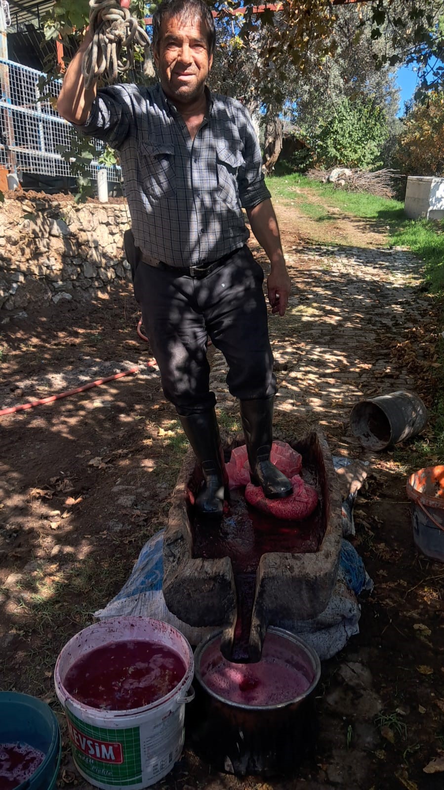 Aydinda Narlar Geleneksel Yontemle Eksiye Donusuyor F4249706E49Da7390897D12Fca8892D7