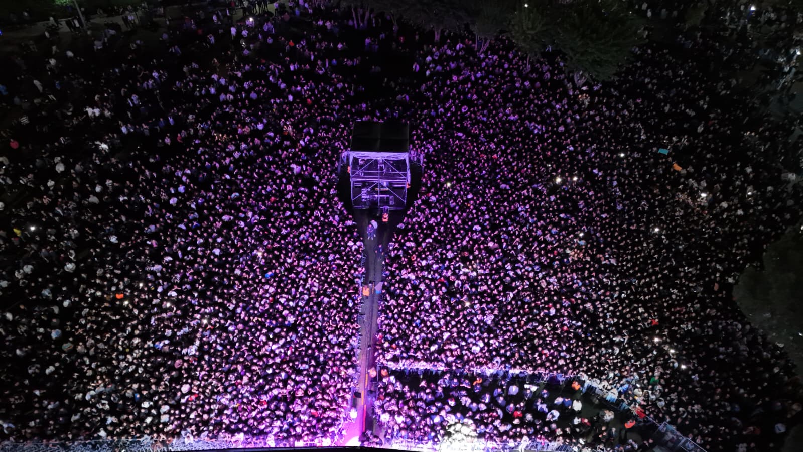 Aydinfest Aydina Solen Yasatti 610363 8Cff29Aa8E22E2654Dd2B09744126047