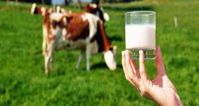 Baskan Baskaya Ureticinin Eline En Az 2080 Lira Gecmeli 607025 21Df9C1E3Dae8099F3Fd609C7C790E7B