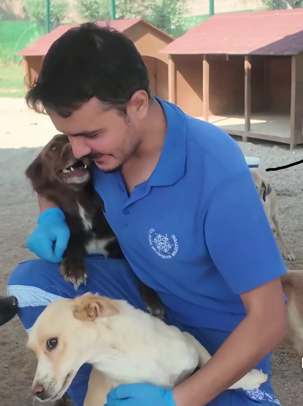 Baskan Cercioglundan Anlamli Proje Aydinda Can Dostlara Yeni Yasam Alani 604216 0E9D4326Fb0B5Ac1318Cf99442C03E13