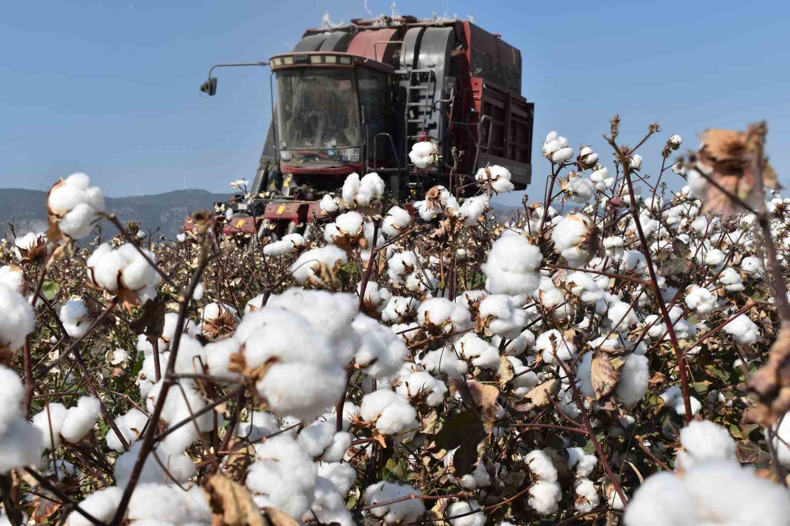 Baskan Condur Pamuk Turkiyenin Stratejik Tarim Urunudur 014A3C94537C3D5Eaa47106Aefd7B2E7
